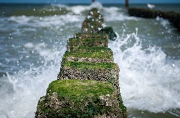 high-angle-closeup-shot-stones-with-moss-top-leading-wavy-sea_181624-22881